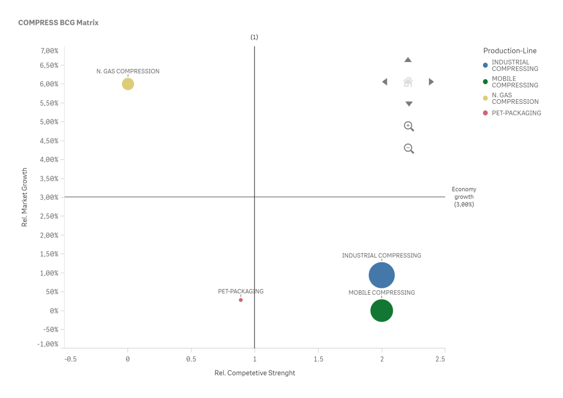BCG-Matrix-Screenshot
